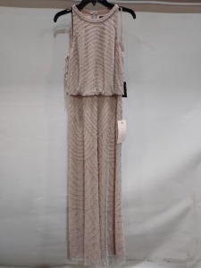 5 X BRAND NEW ADRIANNA PAPELL MAXI DRESS IN SILVER/NUDE SIZES 14 - £230PP