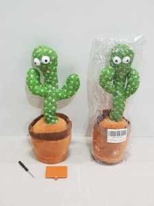 80 X BRAND NEW DANCING CACTUSES IN ONE LARGE BOX