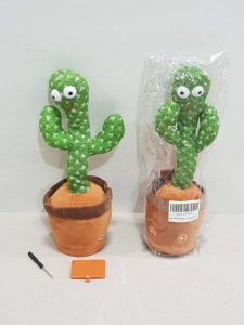 80 X BRAND NEW DANCING CACTUSES IN ONE LARGE BOX