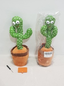 80 X BRAND NEW DANCING CACTUSES IN ONE LARGE BOX