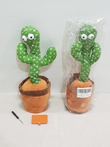 80 X BRAND NEW DANCING CACTUSES IN ONE LARGE BOX