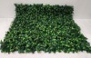 10 X BRAND NEW PREMIER ARTIFICIAL LIVING WALL PLANT PANEL WITH BERRYS AND THORNED LEAVES - PANEL SIZE W 1M L 1M IN TWO BOXES