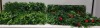 5 X BRAND NEW PREMIER ARTIFICIAL LIVING WALLS IN 2 DIFFERENT FLORAL DESIGNS SIZE 1M X 1M