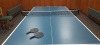 13 X DONNAY INDOOR/ OUTDOOR PING PONG TABLES - CUSTOMER RETURNS/ UNDELIVERED GOODS