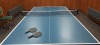 13 X DONNAY INDOOR/ OUTDOOR PING PONG TABLES - CUSTOMER RETURNS/ UNDELIVERED GOODS