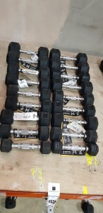 18 X BRAND NEW EVERLAST HEX DUMBELLS - METAL HANDLE - RUBBER WEIGHTS 4 X 5KG / 4 X 4 KG / 6 X 3 KG / 2 X 2KG / 2 X 1.5 KG