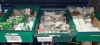 200 + PIECE BRAND NEW MIXED LIGHT BULB LOT CONTAINING OSRAM DULUX D/E 26W / INTEGRAL LED MINI GLOBE B22 / CROMPTON COLOURGLAZED SIGN BC 15 W / RADIUM HALOGEN 680 IM 50 WATT GU5.3 / ENERGIZER E27 805 LUMENS LIGHTBULB MIGHT LIGHT SPARE BULBS E14 - 6 TRAY - 3