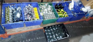 150 X BRAND NEW MIXED SOFT DRINKS LOT CONTAINING HARROGATE SPRING WATER , RED BULL , BRITVIC LIFTING SPIRITS , PEPSI , FANTIC , PAGO ORANGE ETC BEST BEFORE DATE 05/04/25