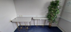 4 X PIECE MIXED LOT TO INCLUDE 3X WALL MOUNT TABLES 1X 6FT ARTIFICIAL PLANT *** NOTE: ASSETS LOCATED IN BLACKBURN - COLLECT IN PERSON ONLY - BOOK SEPARATE COLLECTION TIME ***