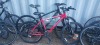 2 X CARRERA MOUNTAIN BIKES BOTH WITH 24 GEARS - BOTH SIZE 48CM