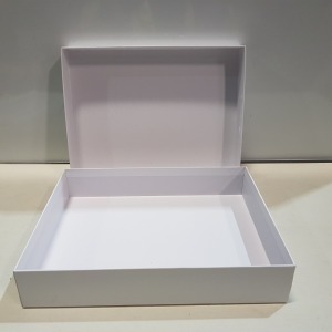 288 X BRAND NEW LINZI JAY PLAIN WHITE VEIL SIZE 38 X 29 X 7 CM BOXES IN 24 BOXES