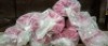 8 X BRAND NEW RUGS JAZZ SHAGGY HOT PINK RUG IN SIZE 80 X 150CM - 2