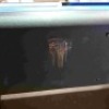 1 X RILEY 7FT SNOOKER TABLE (NOTE DAMAGE TO BOTH SIDES BUT STILL FUNCTIONAL) - 3