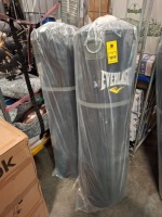 2 X BRAND NEW EVERLAST PUNCHING BAGS 50KG IN BLACK WITH HANGING CHAIN