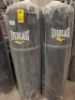 2 X BRAND NEW EVERLAST PUNCHING BAGS 50KG IN BLACK WITH HANGING CHAIN