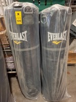 2 X BRAND NEW EVERLAST PUNCHING BAGS 50KG IN BLACK WITH HANGING CHAIN