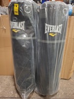 2 X BRAND NEW EVERLAST PUNCHING BAGS 50KG IN BLACK WITH HANGING CHAIN