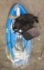 1 X OGUL KAYAK SINGLE SEATER WITH PADDLES IN BLUE