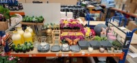 50 X PIECE MIXED PREMIER SUMMER DECORATIONS LOT TO INCLUDE VARIOUS SIZED VASES - ARTIFICIAL FLOWERS - VARIOUS CACTI - PLATES - BOWLS - GLASS JARS - HANGING BASKETS -VARIOUS CANDLES ETC ON FULL BAY