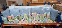 50 X PIECE MIXED PREMIER SUMMER DECORATIONS LOT TO INCLUDE CUSHIONS - VARIOUS ARTIFICIAL CACTI - OWL ORNAMENTS - WATERING CANS - HANGING BASKETS ETC ON FULL BAY