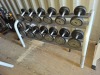 1 X DUMBBELL RACK WITH 12 TECHNO GYM DUMBBELLS TO INCLUDE 4KG, 9KG,10KG 12KG, 14KG, 16KG