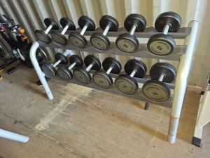 1 X DUMBBELL RACK WITH 12 TECHNO GYM DUMBBELLS TO INCLUDE 4KG, 9KG,10KG 12KG, 14KG, 16KG