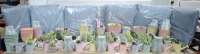 100 + BRAND NEW MIXED GARDEN LOT CONTAINING OWL FIGURINES , DECORATIVE WATERING CANS IN PINK , GREY , ORANGE , YELLOW , DECORATIVE FLOWER POTS IN VARIOUS COLOURS , THE OUTDOOR LIVING ARTIFICIAL SMALL PLANTS ETC ON A FULL BAY