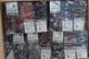 26 X BRAND NEW PACKS OF 12 DM BIGMRY WOMENS SOCKS IN VARIOUS COLOURS IN SIZE 36-42 IN ONE BOX - 2