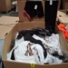 400 X MIXED CLOTHING LOT CONTAINING MILLENIUM SPARKLY TOP IN ONE SIZE , HOLOLA TOP AND PANTS SETS IN SMALL AND MEDIUM IN BLACK AND WHITE, ORANGE AND BLACK AND BLACK AND PINK ETC IN ONE LARGE PALLET BOX (NOTE - SOME MAY BE DETAGGED / DELABELLED)