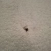 1X FLUFFY CORNER CHAIR IN CREAM (NOTE MARK ON CHAIR) - 2