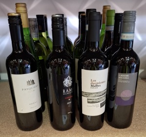 20 X BRAND NEW MIXED WINE LOT CONTAINING DUC DEMORNY ORMARINE 750CL 12% , PASQUIERS SHIRAZ 750ML 13% , RAME SELECCION 2022 750ML 14% , LOS DURMIENTES MALBEC 2024 750ML 13.5% , IL MERIDIONE NERO D'AVOLA 750 ML 14% ETC