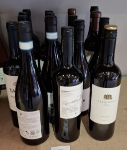 17 X BRAND NEW MIXED WINE LOT CONTAINING LONE PALM VUBEYARD OLD VINE 2022 750ML , PASQUIERS SHRAZ 750ML 13% , TABALI PEDREGOOS GRAN RESERVA 2023 750ML 14% , MOTEPULCIANO D'ABRUZZO 75CL 12.5% ETC
