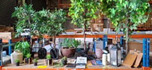 25 X MIXED LOT CONTAINING VARIOUS ARTIFICAL PLANTS , BLUEPUNKT FANS , CANDLE LANTERNS , VARIOUS BOOKS TABLE LAMP ETC OVER A FULL BAY