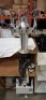 1 X MOBILE COCKTAIL DISPENSING MACHINE - 4 FLAVOUR WITH CHILLER - 2