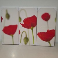 86 X BRAND NEW SETS OF 3 POPPY CANVAS PICTURES, 33CM X 3CM X 70CM IN 86 BOXES