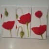 86 X BRAND NEW SETS OF 3 POPPY CANVAS PICTURES, 33CM X 3CM X 70CM IN 86 BOXES