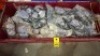 40 X BRAND NEW MIXED SHOE LOT TO INCLUDE PADDED TIE UP SANDALS - PADDED FLIP FLOP SANDALS - TWISTED TOE POST FLAT SANDALS - ROPE SANDALS ETC IN VARIOUS SIZES - 2