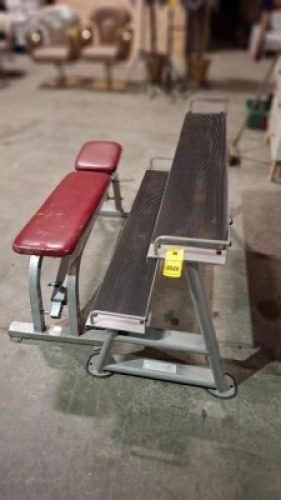 2 X GYM EQUIPMENT CONTAINING 1 KETTLEBELL RACK WITH ADJUSTABLE WEIGHT BENCH