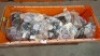 40 X PAIRS OF BRAND NEW MIXED MISSGUIDED SANDALS - SLIDERS LOT TO INCLUDE TWISTED TOE POST FLAT SANDALS - FAUX LEATHER KNOTTED FLAT SANDALS - PADDED TIE UP SANDALS - CHUNKY STRAP SLIDERS ETC ALL IN VARIOUS SIZES IN 1 TRAY - 2