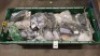 40 X PAIRS OF BRAND NEW MIXED MISSGUIDED SANDALS - SLIDERS LOT TO INCLUDE TWISTED TOE POST FLAT SANDALS - FAUX LEATHER KNOTTED FLAT SANDALS - PADDED TIE UP SANDALS - CHUNKY STRAP SLIDERS ETC ALL IN VARIOUS SIZES IN 1 TRAY - 2