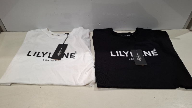 20 X BRAND NEW MIXED T-SHIRTS LOT CONTAINING LILYLANE LONDON AND CROSSHATCH IN BLACK, WHITE, BROWN, BLUE IN SIZES, S, M, L, 2XL ( IN 1 TRAY - TRAY NOT INCLUDED)