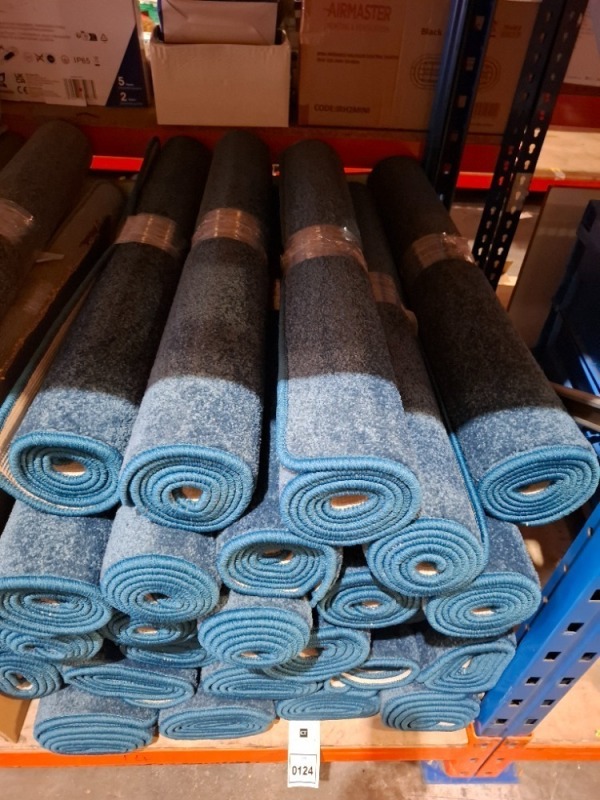 25 X BRAND NEW RUGS IN BLUE ETC IN SIZE 100 X 150 CM