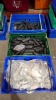 200 X BRAND NEW MIXED GLASSES AND CASES LOT CONTAINING, DKNY GLASSES IN ROSE GOLD, JLO BY JENNIFER LOPEZ GLASSES IN BURGUNDY MARBLE, DONNA KARAN NEW YORK CASE IN BLACK, M / M TOUCH ZIPPED CASE IN GREY AND RED, ETC, IN 3 TRAYS (TRAYS NOT INCLUDED) - 2