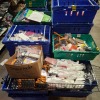 APPROX 1000 X BRAND NEW MIXED PHONE CASES LOT TO INCLUDE N950 XL CASES - NOTE 3 CASES - IPAD CASES - J6 PLUS CASES - J4 PLUS CASES - A12 5G CASES - 7G CASES ETC ON 1 PALLET (TRAYS NOT INCLUDED)