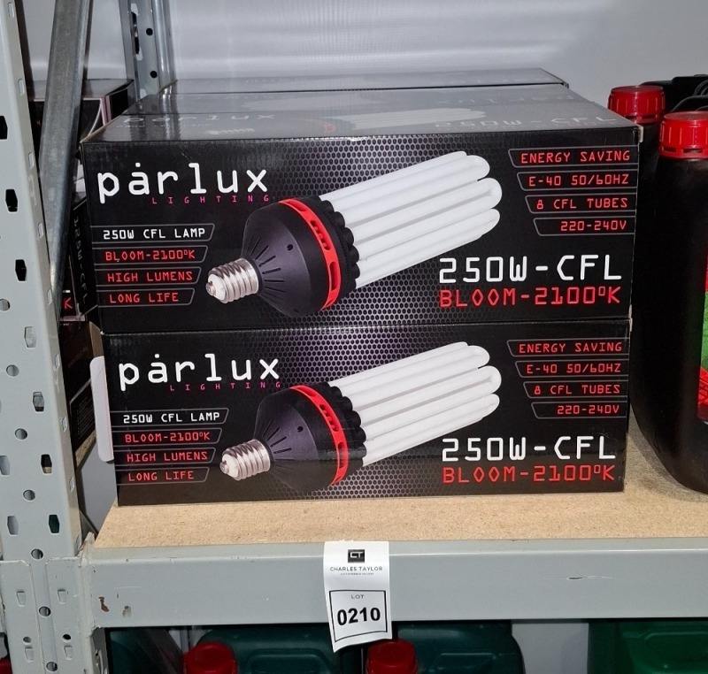 6 X BRAND NEW PARLUX LIGHTING 250W CFL BLOOM LAMPS
