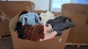 400 + MIXED CLOTHES LOT TO INCLUDE CHERRY KOKO TURTLENECK JUMPER IN LIGHT BLUE , DAPHNEA CARDIGAN IN DARK GREEN IN SIZE S/M , DAPHNEA LEOPARD PRINT CARDIGAN IN SIZE S/M ETC IN ONE LARGE PALLET BOX