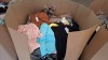 400 + MIXED CLOTHES LOT TO INCLUDE OXANA FASHIOLONG SLEEVED FLORAL TOP IN NAVY IN SIZE S/M OXANA SHORT SKIRT IN BROWN IN SIZE SMALL , BY SWAN DRESS IN BLACK IN SIZE S/M ETC IN ONE LARGE PALLET BOX