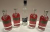 5 X BRAND NEW MIXED VODKA LOT TO INCLUDE ABSOLUT VODKA WATERMELON 700ML - 1X ERISTOFF VODKA 700ML