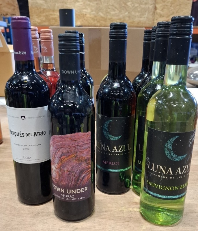 13 X PIECE BRAND NEW MIXED LOT TO INCLUDE LUNA AZUL RED AND WHITE WINE 750ML - LA TERRASSE LA GARDE RED WINE - DOWN UNDER SHIRAZ RED - MARQUES DEL ATRIO RED WINE ALL 75CL