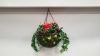 12 X BRAND NEW LARGE HANGING BASKETS - POINSETTIA ARRANGEMENT - IN 12 BOXES